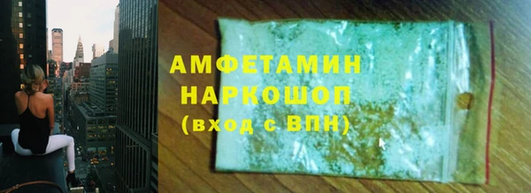 стаф Инта