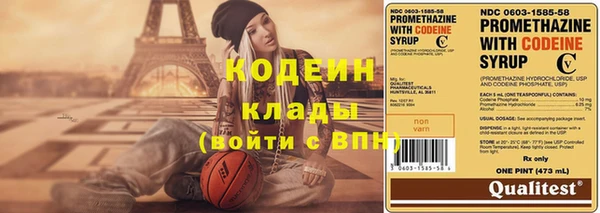 стаф Инта