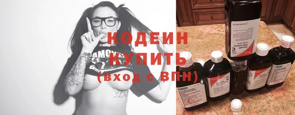 мдпв Каменногорск