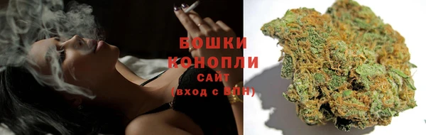 стаф Инта