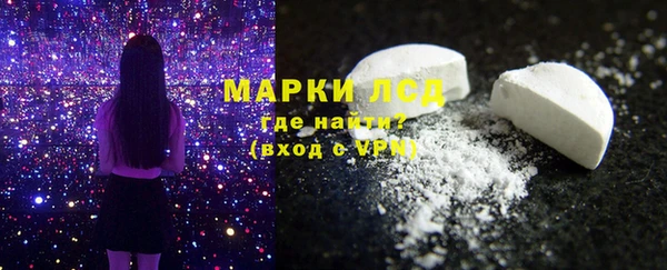 стаф Инта