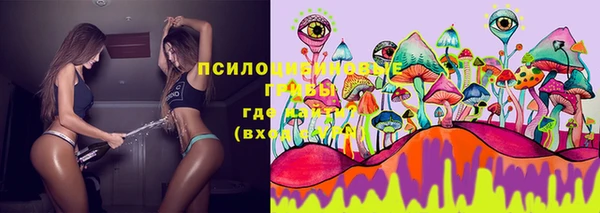 apvp Каменск-Шахтинский
